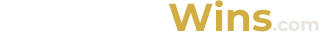 dominic-new-logo